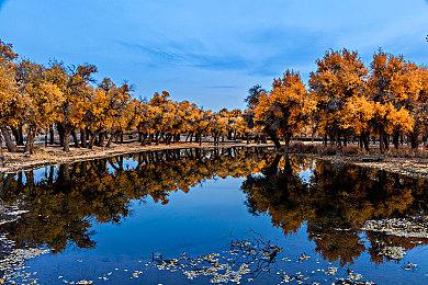 Steam新调查结果显示日区用户猛增 爱玩PC游戏了